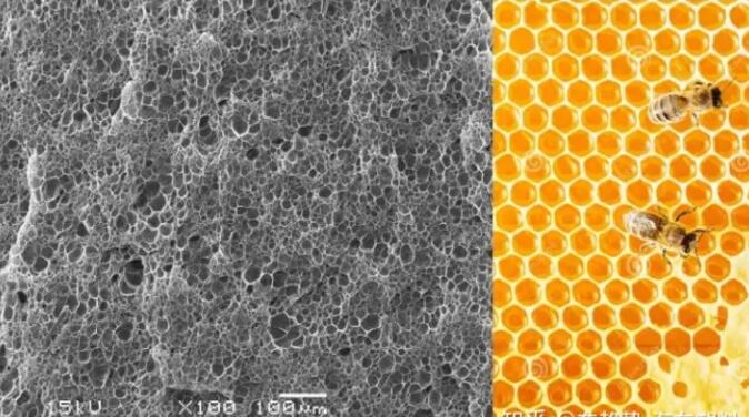 epp發(fā)泡聚丙烯的顯微結(jié)構(gòu)，可以看到這是種連續(xù)閉孔結(jié)構(gòu)，類似于蜂窩